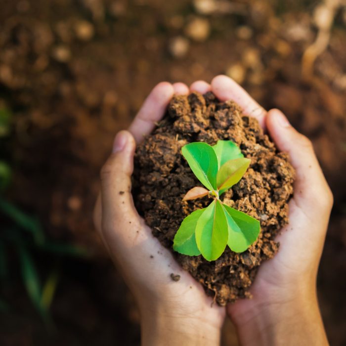 Ja estalviem més de 2.500 tones de CO2 a l’any